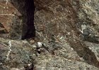 Zwarte roodstaart (black redstart) (Phoenicurus ochruros) - kloof bij Yolin Am 21-08-2016 (1)